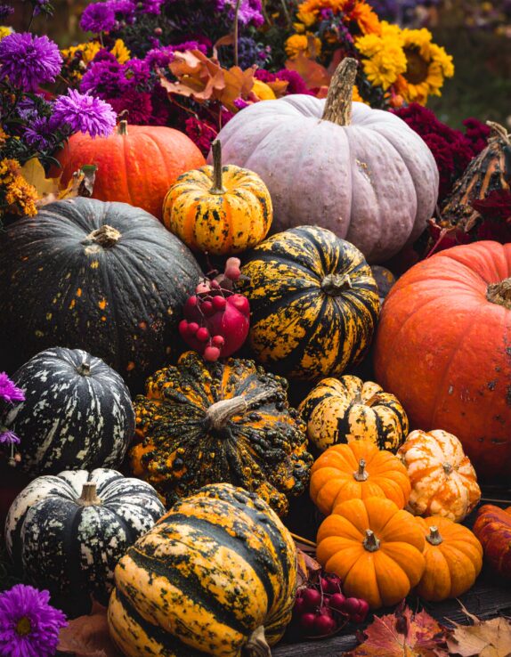 OCTOBRE – Sorties en famille
